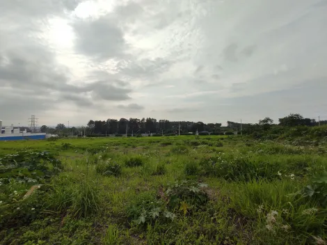 imagem 1 - Terreno comercial á venda no bairro Parque das Oliveiras imagem 1 - Terreno comercial á venda no bairro Parque das Oliveiras