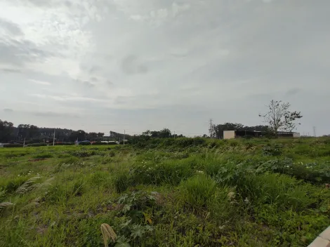 imagem 5 - Terreno comercial á venda no bairro Parque das Oliveiras imagem 5 - Terreno comercial á venda no bairro Parque das Oliveiras