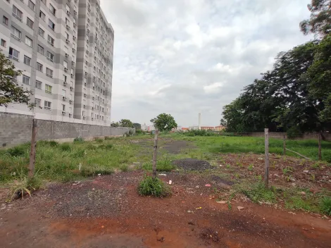 imagem 1 - Terreno comercial à venda no bairro Jardim Jandaia imagem 1 - Terreno comercial à venda no bairro Jardim Jandaia