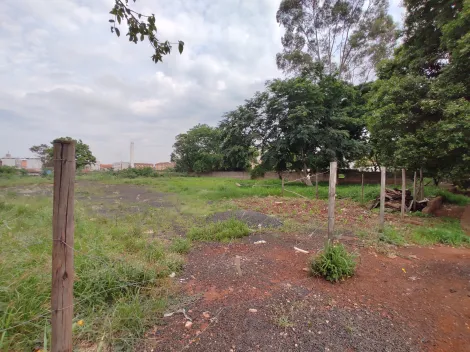 imagem 4 - Terreno comercial à venda no bairro Jardim Jandaia imagem 4 - Terreno comercial à venda no bairro Jardim Jandaia