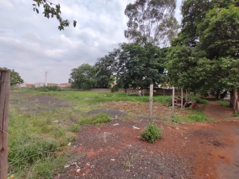 imagem 5 - Terreno comercial à venda no bairro Jardim Jandaia imagem 5 - Terreno comercial à venda no bairro Jardim Jandaia