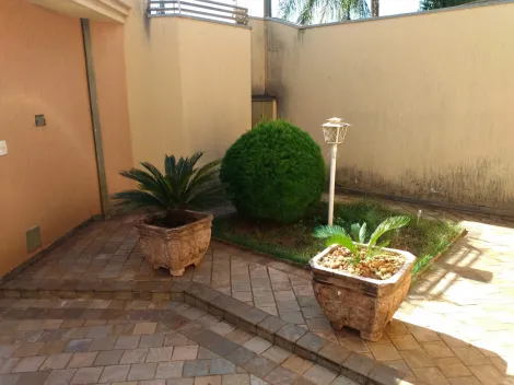 imagem 3 - Casa Térrea 3 dormitórios à venda no Campos Elíseos imagem 3 - Casa Térrea 3 dormitórios à venda no Campos Elíseos