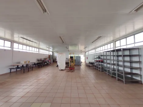 imagem 1 - Salão Comercial de 380m² para locação em Cravinhos imagem 1 - Salão Comercial de 380m² para locação em Cravinhos