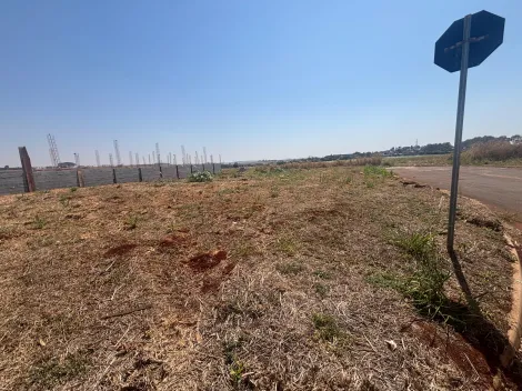 imagem 1 - Terreno Comercial 514m² para venda no Vivendas da Mata imagem 1 - Terreno Comercial 514m² para venda no Vivendas da Mata