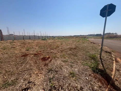 imagem 3 - Terreno Comercial 514m² para venda no Vivendas da Mata imagem 3 - Terreno Comercial 514m² para venda no Vivendas da Mata