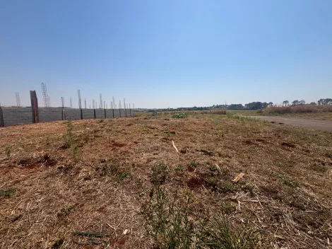imagem 4 - Terreno Comercial 514m² para venda no Vivendas da Mata imagem 4 - Terreno Comercial 514m² para venda no Vivendas da Mata