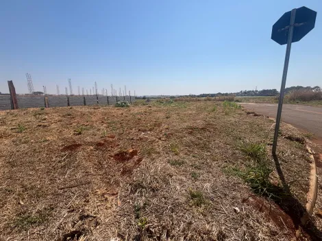imagem 5 - Terreno Comercial 514m² para venda no Vivendas da Mata imagem 5 - Terreno Comercial 514m² para venda no Vivendas da Mata