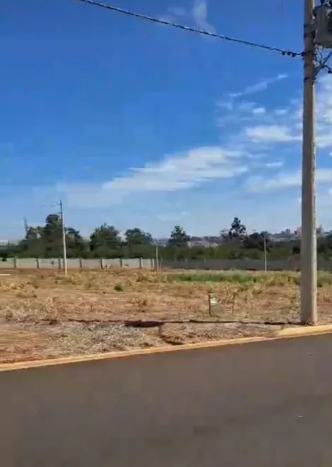 imagem 1 - Terreno de Ilha no Quinta da Mata para venda imagem 1 - Terreno de Ilha no Quinta da Mata para venda