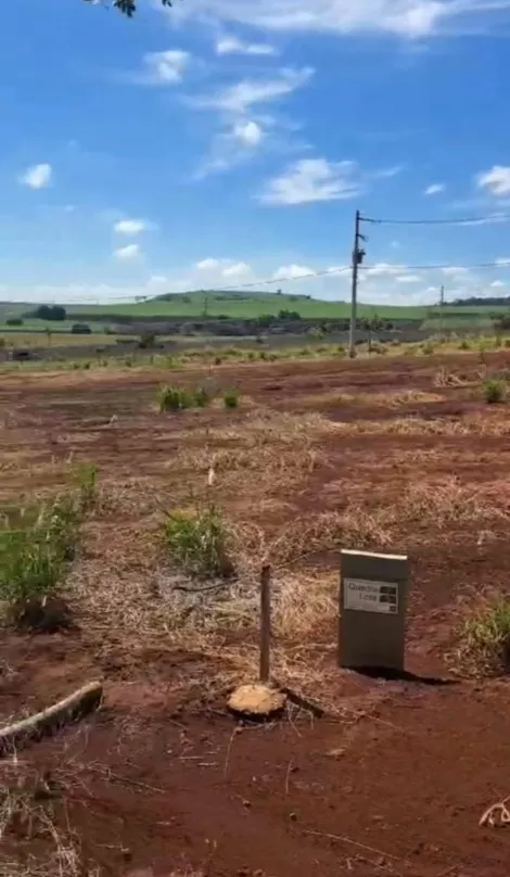 imagem 2 - Terreno de Ilha no Quinta da Mata para venda imagem 2 - Terreno de Ilha no Quinta da Mata para venda