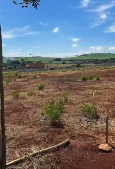 imagem 3 - Terreno de Ilha no Quinta da Mata para venda imagem 3 - Terreno de Ilha no Quinta da Mata para venda