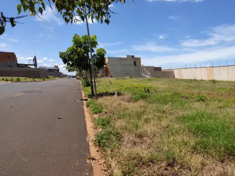 imagem 3 - Terreno em Condomínio 253m² à venda no Vivendas da Mata imagem 3 - Terreno em Condomínio 253m² à venda no Vivendas da Mata