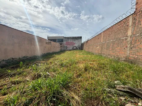 imagem 1 - Terreno com 312,50 M² no Parque Bandeirantes para venda imagem 1 - Terreno com 312,50 M² no Parque Bandeirantes para venda