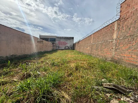 imagem 3 - Terreno com 312,50 M² no Parque Bandeirantes para venda imagem 3 - Terreno com 312,50 M² no Parque Bandeirantes para venda