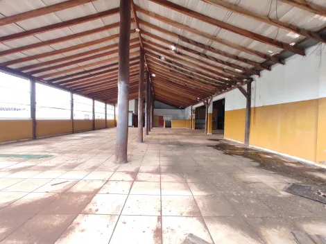 imagem 2 - Salão Comercial 505m² para locação no Ipiranga imagem 2 - Salão Comercial 505m² para locação no Ipiranga