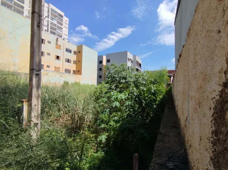 imagem 4 - Terreno misto de 704 m² a venda no Jardim Sumaré imagem 4 - Terreno misto de 704 m² a venda no Jardim Sumaré