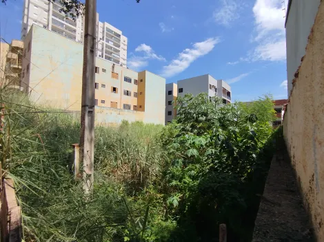 imagem 5 - Terreno misto de 704 m² a venda no Jardim Sumaré imagem 5 - Terreno misto de 704 m² a venda no Jardim Sumaré