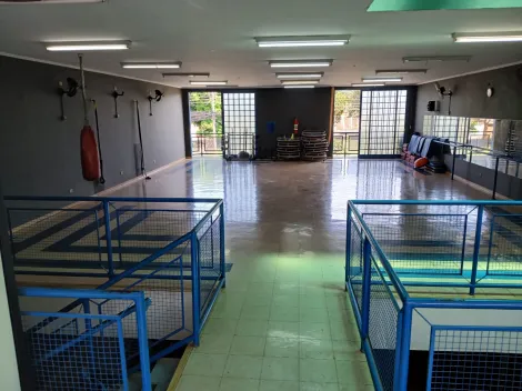 imagem 1 - Imóvel Comercial na Lagoinha ideal para Academia e escola de dança imagem 1 - Imóvel Comercial na Lagoinha ideal para Academia e escola de dança