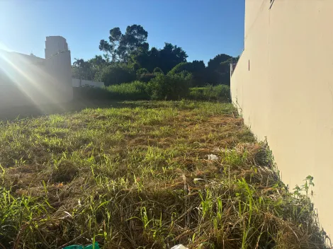 imagem 1 - Terreno para venda no Alto da boa vista imagem 1 - Terreno para venda no Alto da boa vista