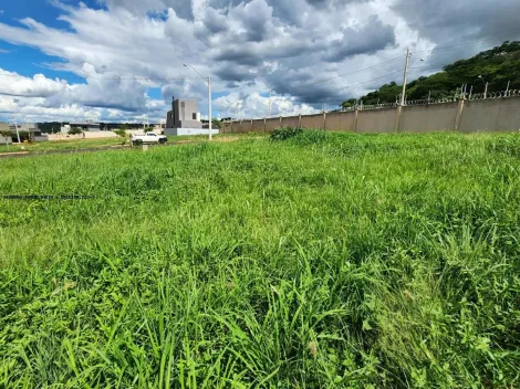 imagem 2 - Terreno 250m² plano a venda no condomínio Quinta da Mata 02 imagem 2 - Terreno 250m² plano a venda no condomínio Quinta da Mata 02