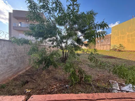 imagem 3 - Terreno Plano Misto 700m² à venda no Jardim Novo Mundo imagem 3 - Terreno Plano Misto 700m² à venda no Jardim Novo Mundo