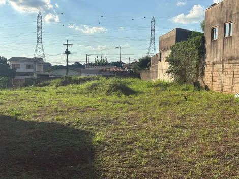 imagem 4 - Terreno Plano Misto 700m² à venda no Jardim Novo Mundo imagem 4 - Terreno Plano Misto 700m² à venda no Jardim Novo Mundo