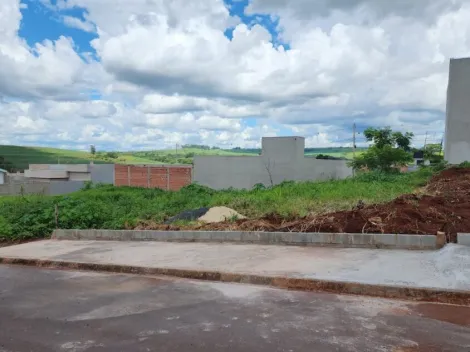 imagem 1 - Terreno com 250m² à venda no bairro Belvedere imagem 1 - Terreno com 250m² à venda no bairro Belvedere