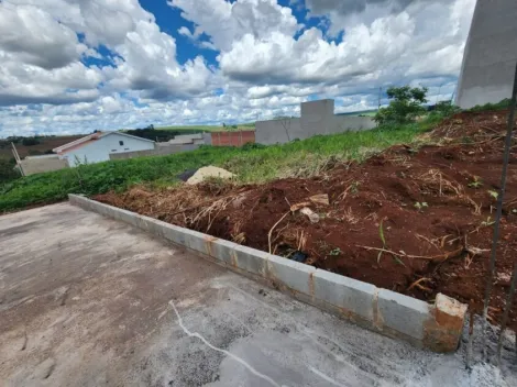imagem 2 - Terreno com 250m² à venda no bairro Belvedere imagem 2 - Terreno com 250m² à venda no bairro Belvedere