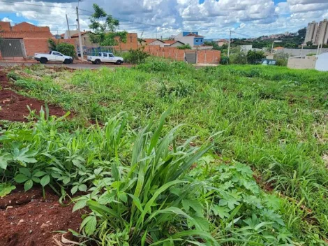 imagem 3 - Terreno com 250m² à venda no bairro Belvedere imagem 3 - Terreno com 250m² à venda no bairro Belvedere