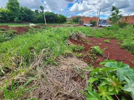 imagem 4 - Terreno com 250m² à venda no bairro Belvedere imagem 4 - Terreno com 250m² à venda no bairro Belvedere