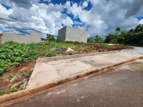 imagem 5 - Terreno com 250m² à venda no bairro Belvedere imagem 5 - Terreno com 250m² à venda no bairro Belvedere
