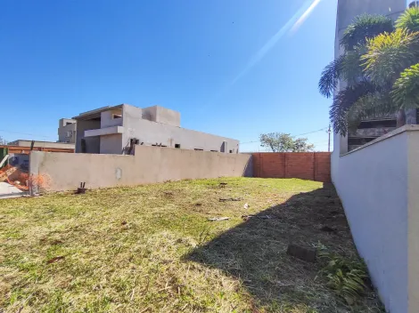 imagem 2 - Terreno Plano de 262m² em Condomínio à venda em Bonfim Paulista imagem 2 - Terreno Plano de 262m² em Condomínio à venda em Bonfim Paulista