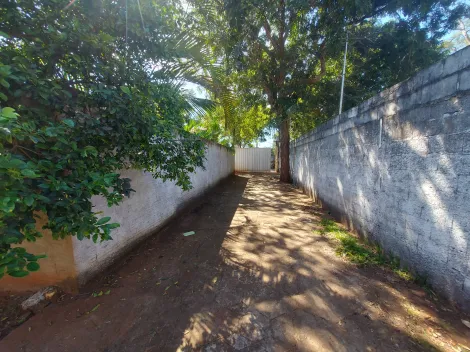 imagem 3 - Casa com piscina e 04 dormitórios para locação no Itanhangá imagem 3 - Casa com piscina e 04 dormitórios para locação no Itanhangá