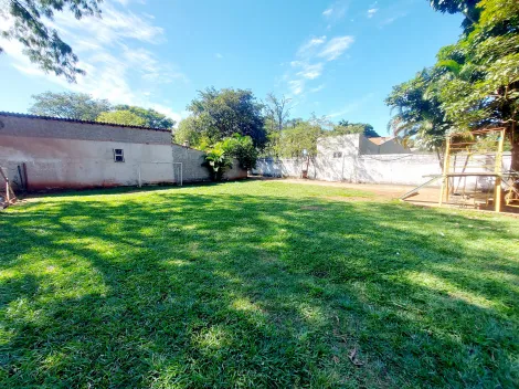 imagem 5 - Casa com piscina e 04 dormitórios para locação no Itanhangá imagem 5 - Casa com piscina e 04 dormitórios para locação no Itanhangá