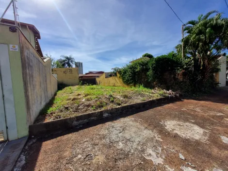 imagem 1 - Terreno de 250m² para locação na Ribeirânia imagem 1 - Terreno de 250m² para locação na Ribeirânia