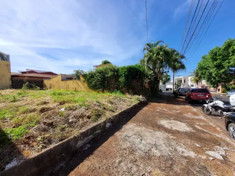 imagem 2 - Terreno de 250m² para locação na Ribeirânia imagem 2 - Terreno de 250m² para locação na Ribeirânia
