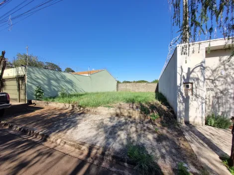 imagem 3 - Terreno 220m² a venda no bairro Villas Mabel imagem 3 - Terreno 220m² a venda no bairro Villas Mabel