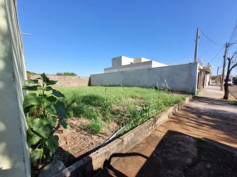 imagem 5 - Terreno 220m² a venda no bairro Villas Mabel imagem 5 - Terreno 220m² a venda no bairro Villas Mabel