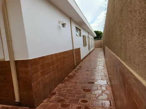 imagem 4 - Casa térrea com 3 dormitórios para locação no bairro Alto da Boa Vista imagem 4 - Casa térrea com 3 dormitórios para locação no bairro Alto da Boa Vista