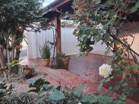 imagem 3 - Casa Térrea 3 dormitórios à venda na City Ribeirão imagem 3 - Casa Térrea 3 dormitórios à venda na City Ribeirão