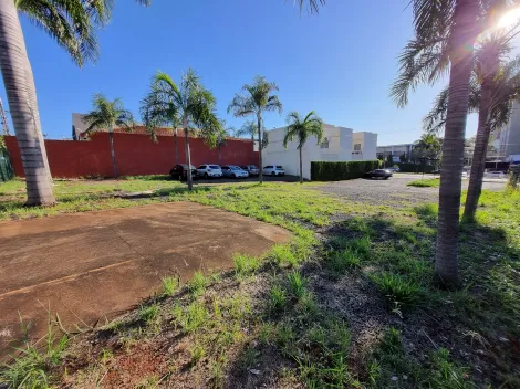 imagem 4 - Terreno de 11.5685m² à venda no bairro Nova Aliança imagem 4 - Terreno de 11.5685m² à venda no bairro Nova Aliança