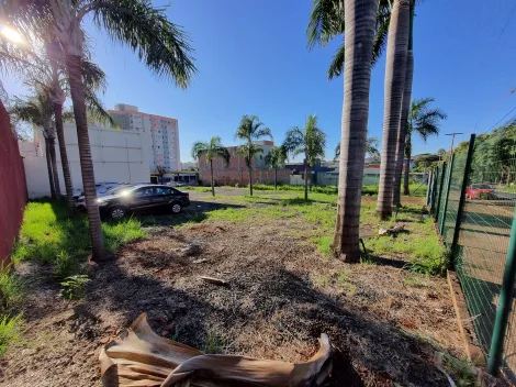 imagem 5 - Terreno de 11.5685m² à venda no bairro Nova Aliança imagem 5 - Terreno de 11.5685m² à venda no bairro Nova Aliança