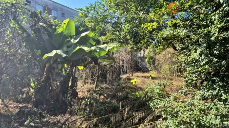 imagem 5 - Terreno comercial de 3.500m² para locação no bairro Parque dos Lagos imagem 5 - Terreno comercial de 3.500m² para locação no bairro Parque dos Lagos
