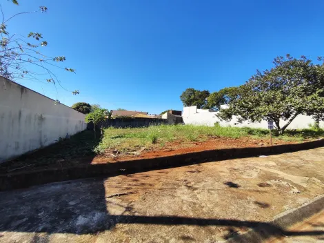 imagem 3 - Terreno de 504m² à venda na City Ribeirão imagem 3 - Terreno de 504m² à venda na City Ribeirão