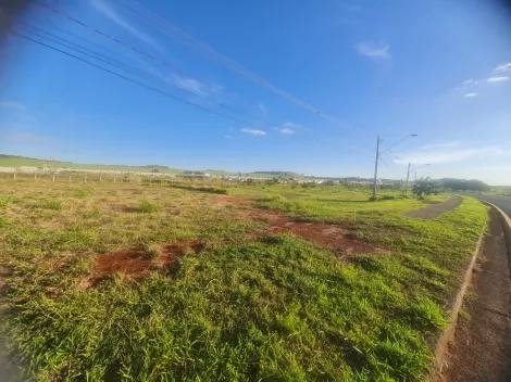 imagem 3 - Terreno Comercial 646m² à venda no bairro Santa Iria imagem 3 - Terreno Comercial 646m² à venda no bairro Santa Iria