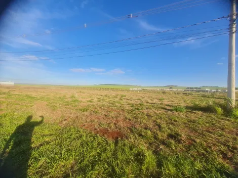 imagem 1 - Terreno Comercial 646m² à venda no bairro Santa Iria imagem 1 - Terreno Comercial 646m² à venda no bairro Santa Iria