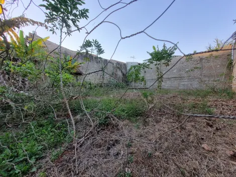 imagem 5 - Terreno de 256m² à venda no bairro Jardim Itaú Mirim imagem 5 - Terreno de 256m² à venda no bairro Jardim Itaú Mirim