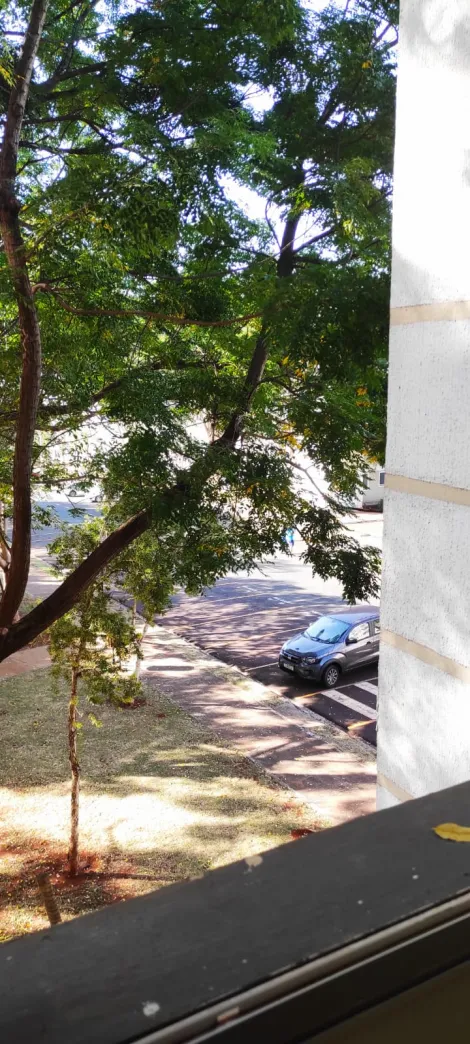 imagem 3 - Apartamento - Padrão imagem 3 - Apartamento - Padrão