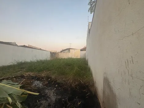 imagem 1 - Terreno 253m² à venda no Jardim Califórnia imagem 1 - Terreno 253m² à venda no Jardim Califórnia