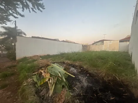 imagem 3 - Terreno 253m² à venda no Jardim Califórnia imagem 3 - Terreno 253m² à venda no Jardim Califórnia