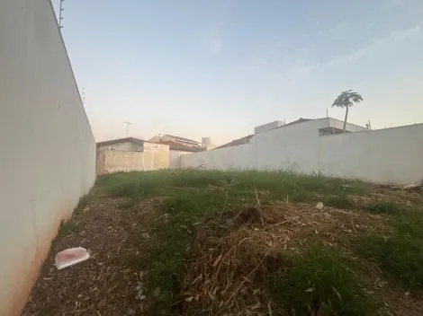 imagem 5 - Terreno 253m² à venda no Jardim Califórnia imagem 5 - Terreno 253m² à venda no Jardim Califórnia